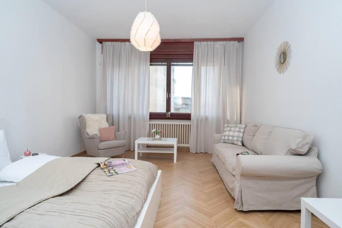 Convenient Apartment In The Heart Of Downtown Budapest Kültér fotó
